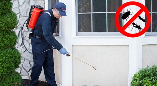 Dereli Tahtakurusu İlaçlama böcek ilaçlama ve haşere kontrolü — ilaclama-tr.com